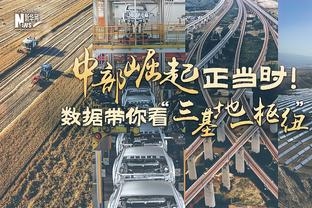 还是那个绿巨人？37岁胡尔克轰出30米开外任意球世界波？